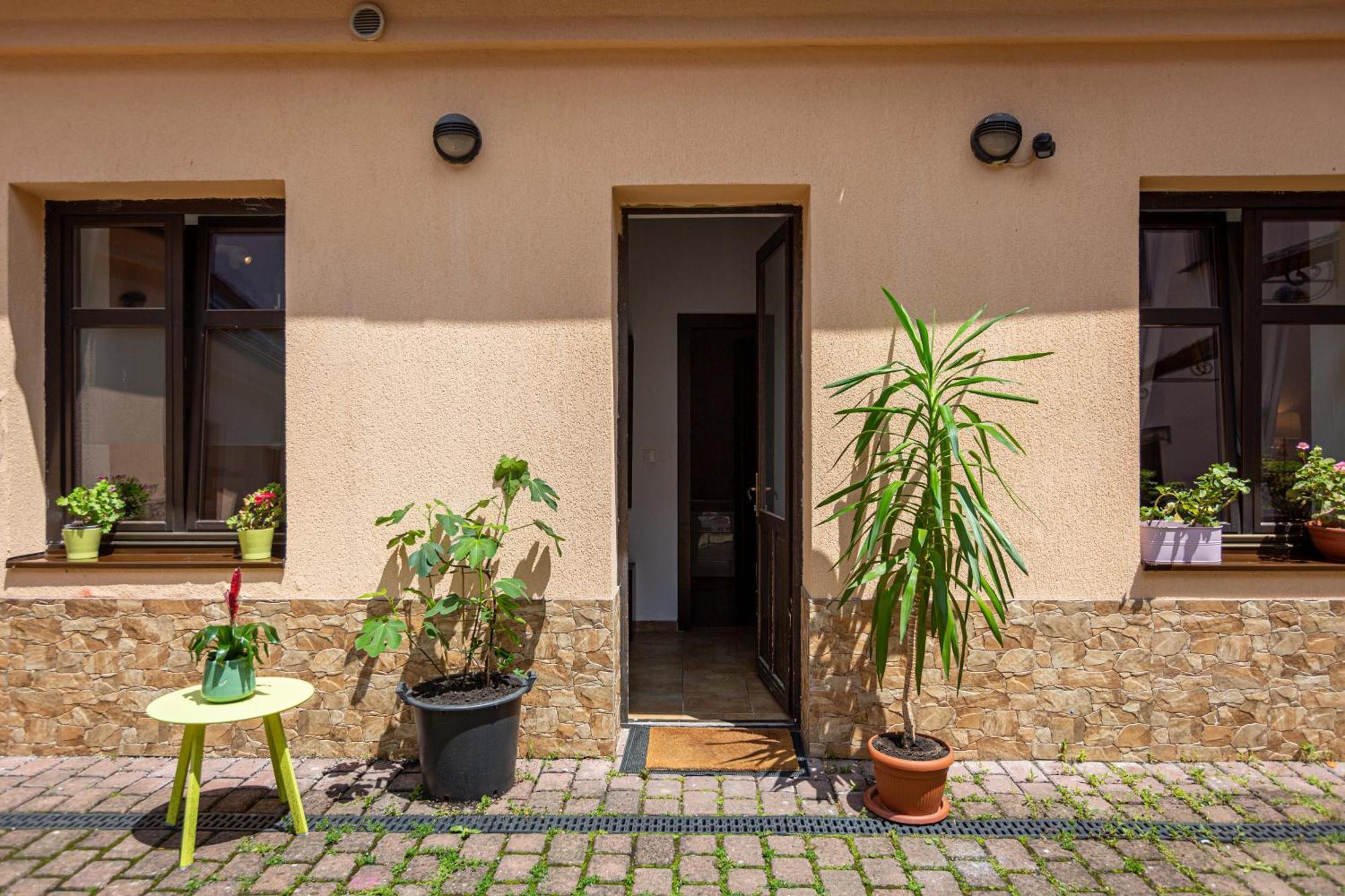 Dream Guesthouse Brașov Exterior foto